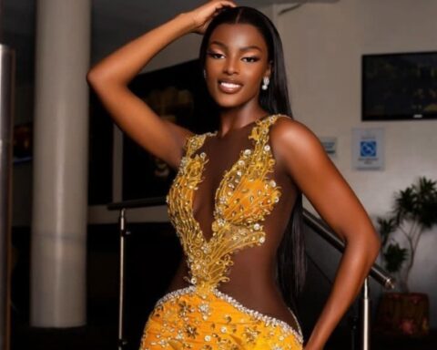 Miss Chidimma Adetshina crowned Miss universe Nigeria 2024 – NEWISSUES