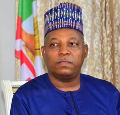 is there a plot to replace shettima in 2027?