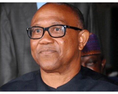 2027: He is coming – El-Rufai’s son, Bashir hints on Peter Obi joining SDP