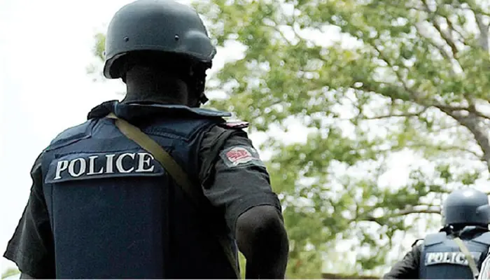 Police arrest gun runner with AK-47 rifles, ammunition in Delta